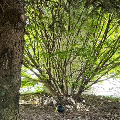 Sallybrown107's profile picture. 🇺🇸👮🏽‍♀️