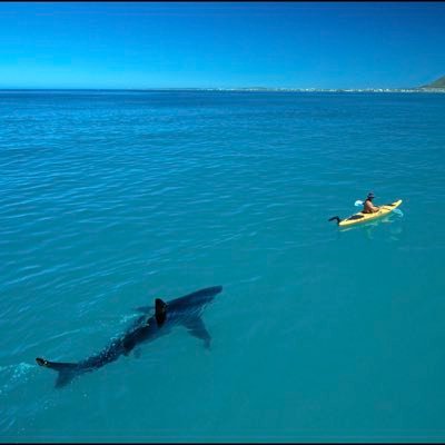 Jonesyland55's profile picture. 