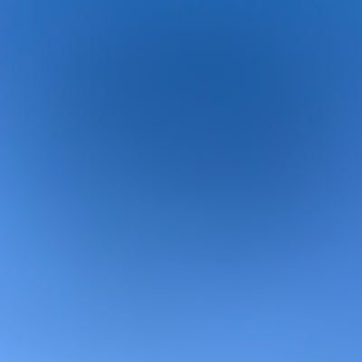 martingale_inc's profile picture. 