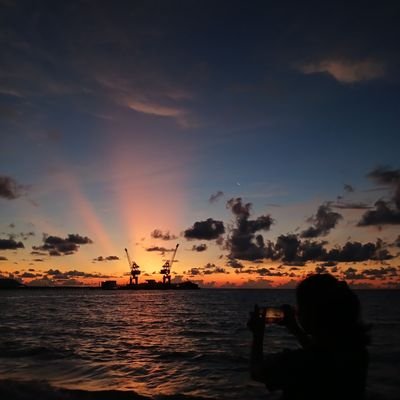 simplepions's profile picture. 