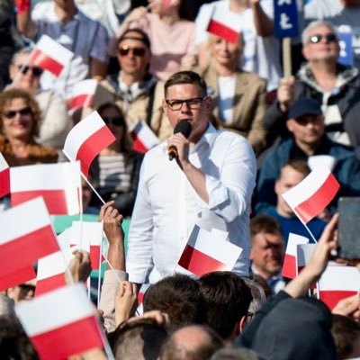 Poseł na Sejm RP X kadencji, wiceprzewodniczący Komisji Sprawiedliwości i Praw Człowieka, członek komisji śledczej ds. Pegasusa, były radny Szczecina.