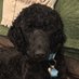 Elizabeth Pawlowicz (@epaw67) Twitter profile photo Elizabeth Pawlowicz (@epaw67) Twitter profile photo