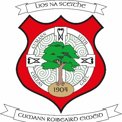 CLG Eiméid Lios Na Scéithe 20 times Fermanagh SFC winners. 20 times SFL winners, 2011 All Ireland IFC winners. Founded 1904 🟩🟥