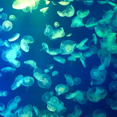 stay90304628's profile picture. 