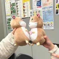 ばさし (@basa4sieeeeeeee) 's Twitter Profile