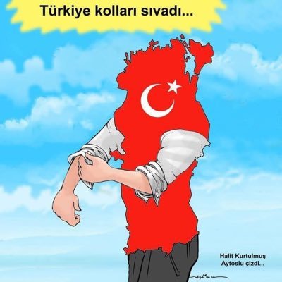 gunayermis's profile picture. 