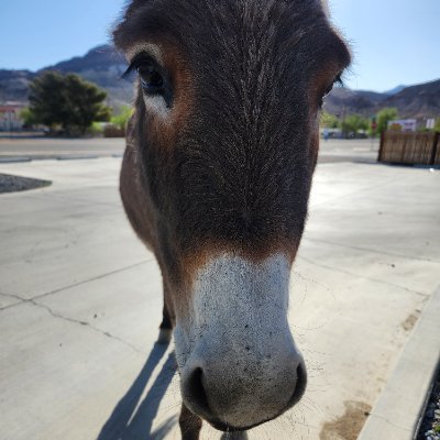 dub7227's profile picture. Just a guy that likes to have fun