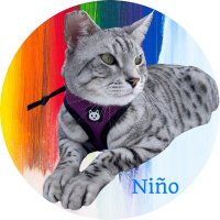 El Niño (@kkc255) 's Twitter Profile Photo El Niño (@kkc255) 's Twitter Profile Photo