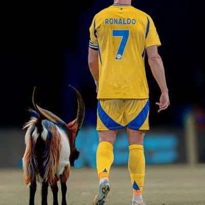 @RealMadrid ma vie🫶 @cristiano mon Goat🐐et @vinijr son héritier 😎 et @grok mon indicateur🤯
