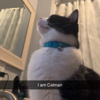 dev 🤌 (@soupcampp) 's Twitter Profile Photo