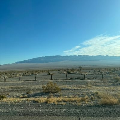 LorettaRurey's profile picture. 