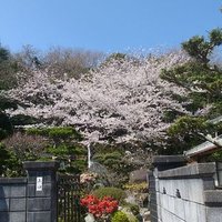 りむる 寝落ち. (@0edvs2k7xr31592) Twitter profile photo