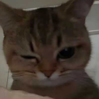 ramdom8909's profile picture.
