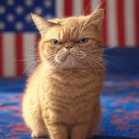 GrumpyGuy (@grumpyguy149642) 's Twitter Profile