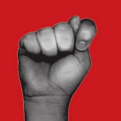 kvarnije's profile picture. A zar nije štos životu razbit nos?