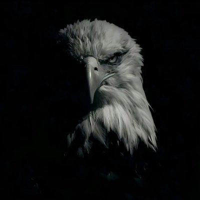 EssienApollos's profile picture. 