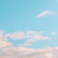 Kaiden/Kai (@sfwtinyy) 's Twitter Profile