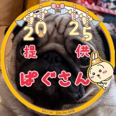 kebachan0929's profile picture. 主にちいかわ情報覚えておく為に趣味の雑垢作りました🧸ちいかわ、ナガノのくま関連ツイートに無言いいね・フォロー失礼します🙇‍♀️