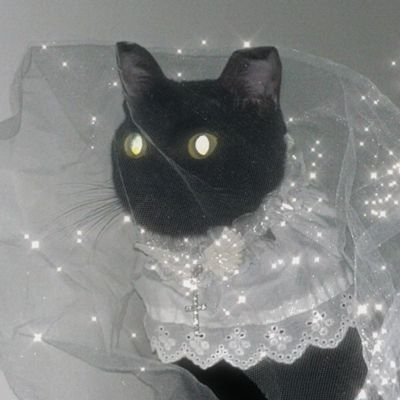 @ZebHaPw69M47413