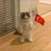 sevde (@sevdeytrcnm) Twitter profile photo sevde (@sevdeytrcnm) Twitter profile photo