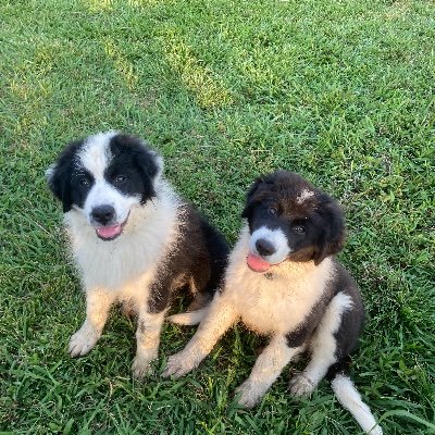 Blaid_Drwg_714's profile picture. Native Hoosier living in Dixie.
