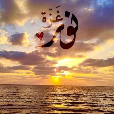 Nour Abdullatif Profile