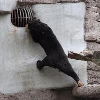 REAoharu's profile picture. 04 Gt.