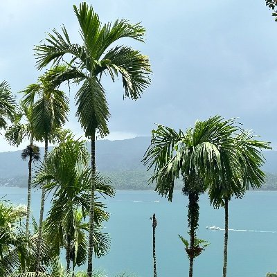 DeepamSeth_IPS's profile picture. DGP Uttarakhand