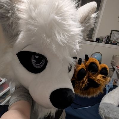 23, they/them Kitsune/Arctic fox! a place where I might show off my body~