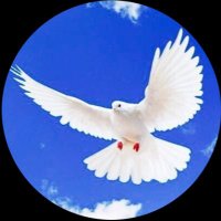 FAITH4TODAY (@deballol46) 's Twitter Profile