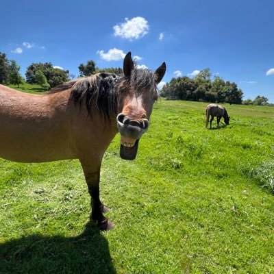 or_owho's profile picture. OUT OF HERE. Blue Sky is better.