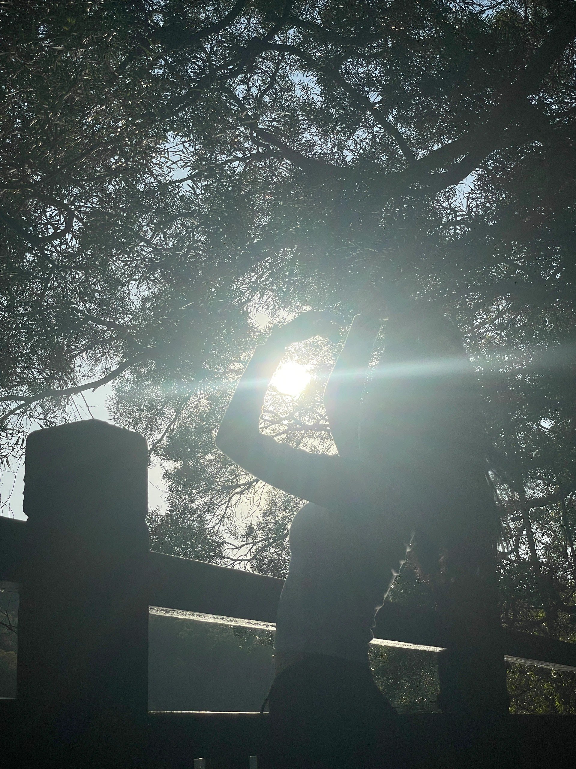 AHaley17475's profile picture. gods determine what going to be