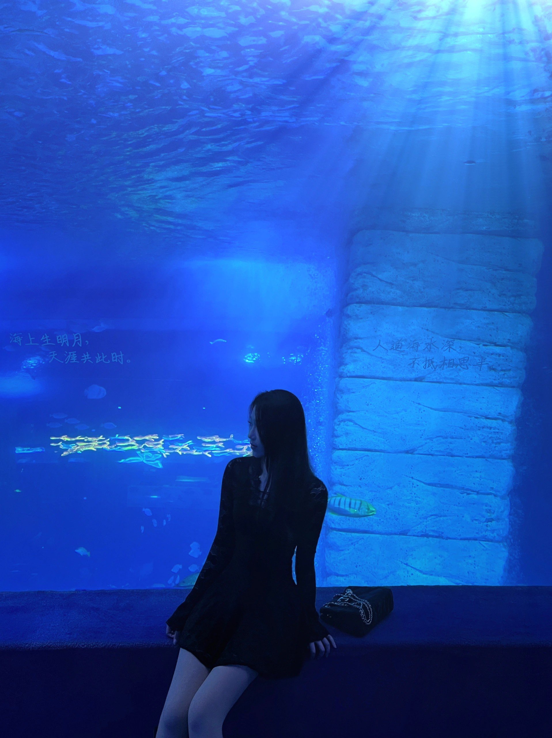 bernita_o96772's profile picture. gods determine what going to be