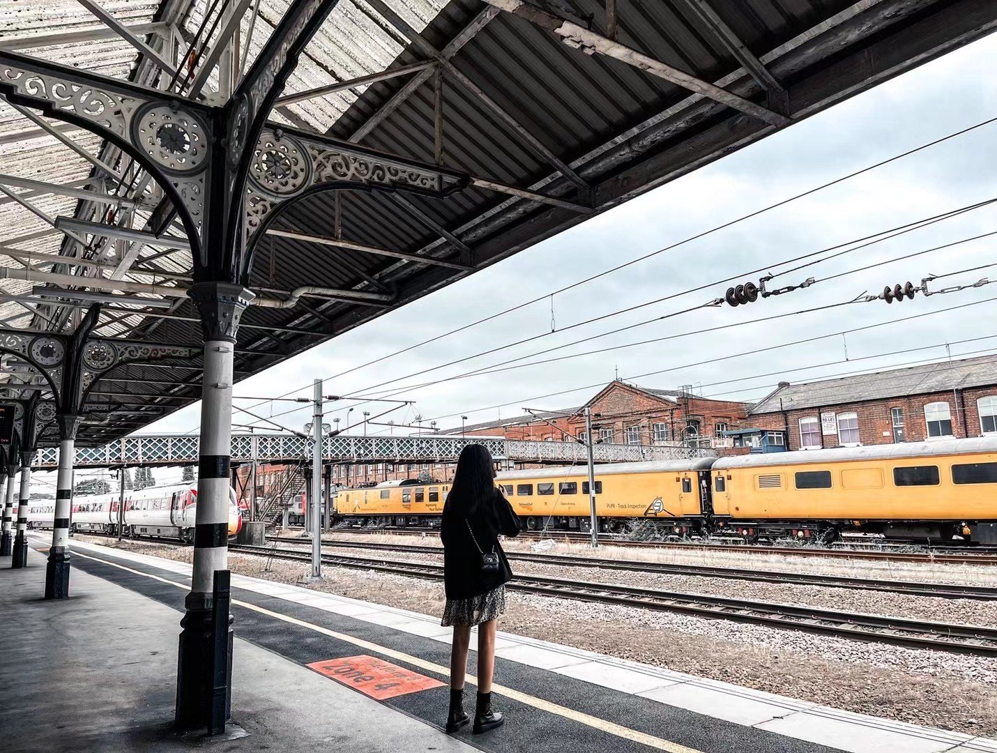 BrakusIlen10439's profile picture. gods determine what going to be