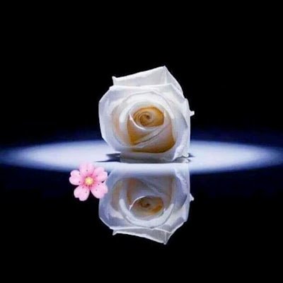 hassanfarooqlon's profile picture. https://t.co/iB6G7YdPNR