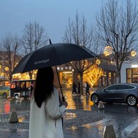 🐿️🌰 (@andreanneb67415) 's Twitter Profile