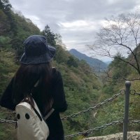 🧩🧠(@cartwright21129) 's Twitter Profile