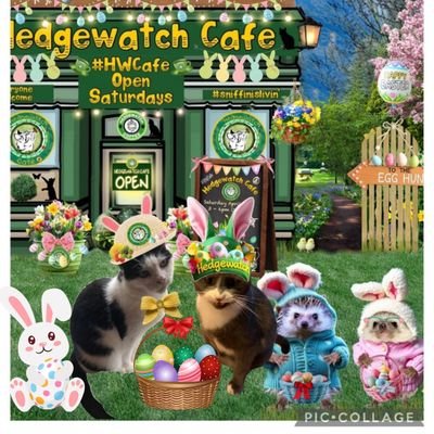 Angels Ron & Reg & Miss Belle 🇺🇦🐈🕊️🇬🇧さんのプロフィール画像