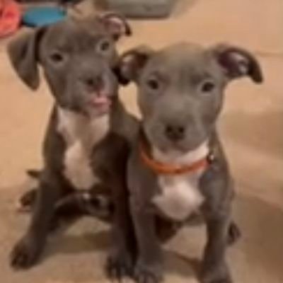 Denri2727's profile picture. $Ninoscum cashapp