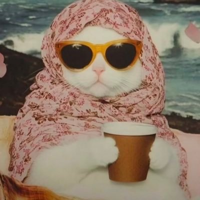 Ronronbaixo's profile picture. 