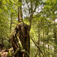 LIFE with Nature (@lwn2030) 's Twitter Profile