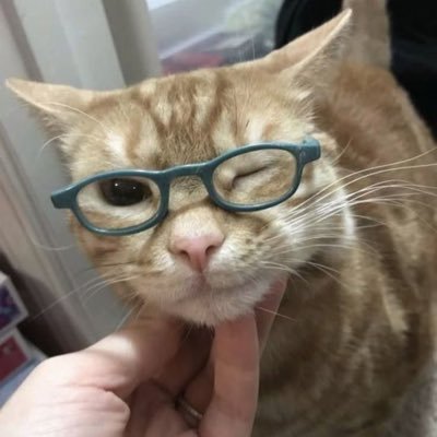 natsuwho's profile picture. BACKUP. ft enthusiast. anime & kpop.