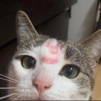 Bloomy (@bloomywaters) 's Twitter Profile