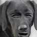 honz (@youdeservenut) Twitter profile photo honz (@youdeservenut) Twitter profile photo