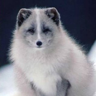 SeatEver's profile picture. 