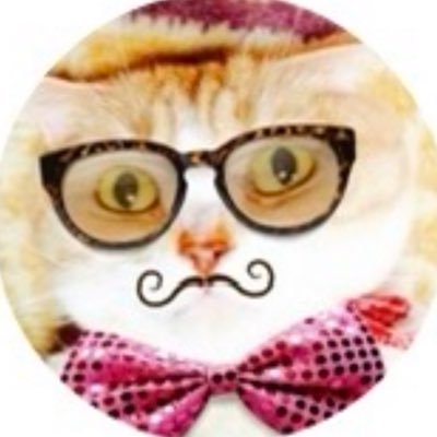 まるお2号🇯🇵（羊の皮を被った猫）さんのプロフィール画像