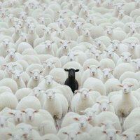 Alex2020🔺️🔥🦇 (@princewillnwok7) 's Twitter Profile