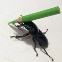 edward (@sillycoolguy32) 's Twitter Profile