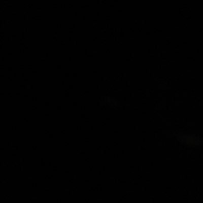 rzvkk's profile picture. kitten 🐈‍⬛