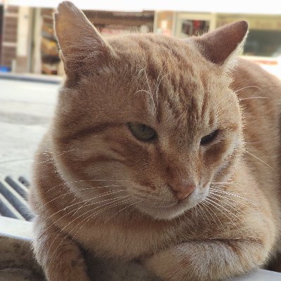 1453Lxral's profile picture. hayat bir gün o da bu gün. carpe diem